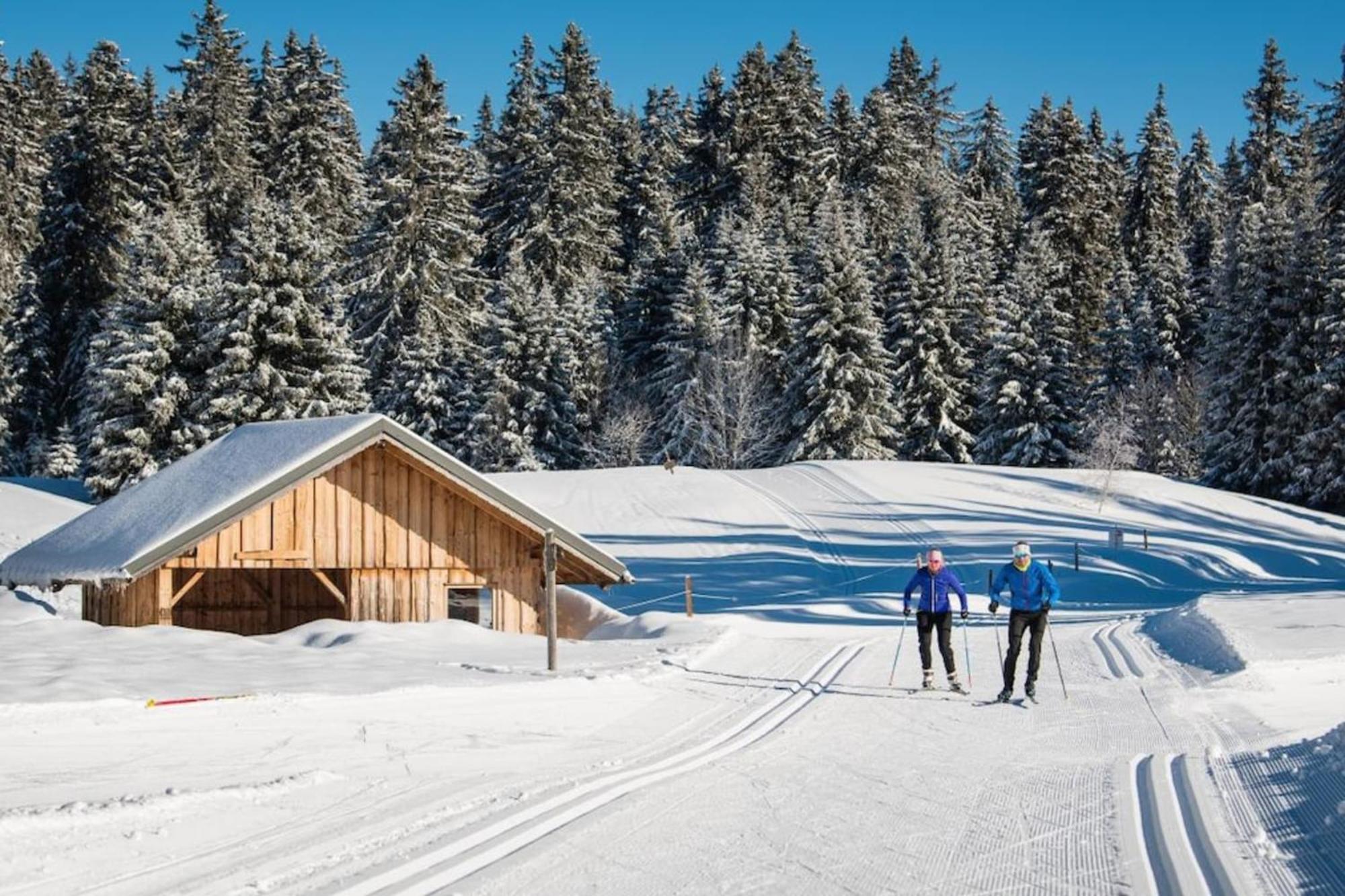 Superbe Appartement Au Pied Des Pistes -Le Chamois Les Deserts  Exterior photo